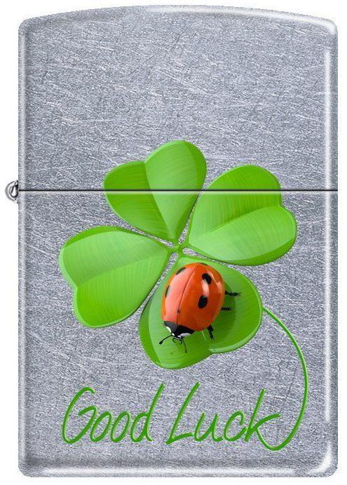 Zapalovač Zippo Ladybug 5272