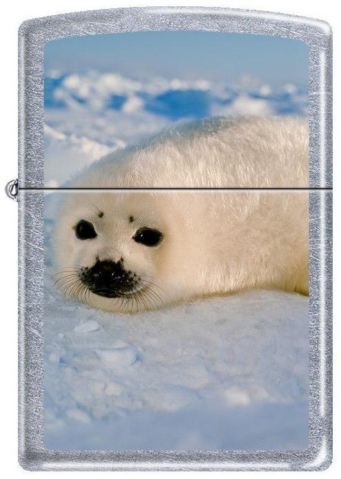 Zapalovač Zippo Seal Pup 0230