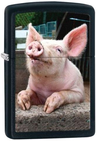 Zapalovač Zippo Pig Dreaming 26009