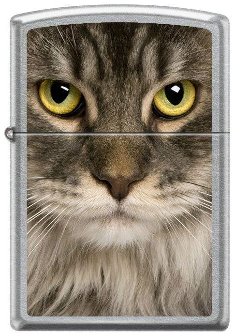 Zapalovač Zippo Coon Cat 6116