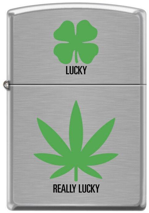 Zapalovač Zippo Cannabis Really Lucky 6676